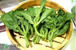 冰菜孕婦能吃嗎？孕婦能不能吃冰菜？