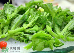 冰菜孕婦能吃嗎？孕婦能不能吃冰菜？