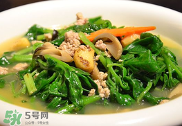冰菜孕婦能吃嗎？孕婦能不能吃冰菜？