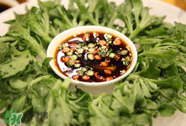 冰菜怎么涼拌？冰菜可以用沙拉醬拌嗎？