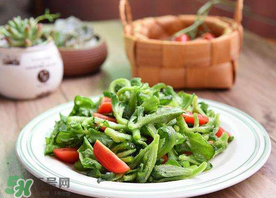 冰菜怎么涼拌？冰菜可以用沙拉醬拌嗎？