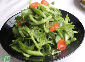 冰菜怎么涼拌？冰菜可以用沙拉醬拌嗎？
