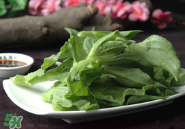 冰菜可以生吃嗎？冰菜能生吃嗎？