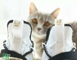 nike lebron 14怎么樣？耐克lebron 14測(cè)評(píng)