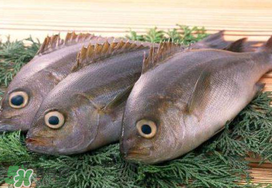 蠶豆和魚能一起吃嗎？蠶豆和魚吃相克嗎？