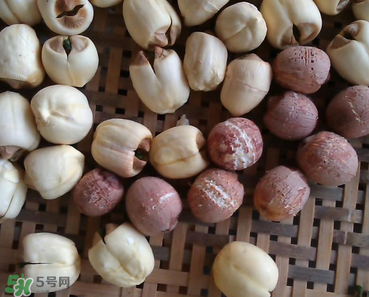 芡實不能和什么一起吃？芡實不能與什么同食？