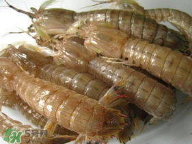 瀨尿蝦是皮皮蝦嗎？瀨尿蝦和皮皮蝦的區(qū)別