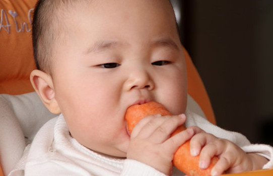 胡蘿卜與什么不能同食？胡蘿卜不能和什么一起吃