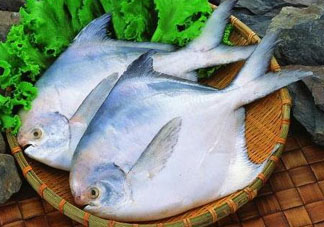 蠶豆和魚能一起吃嗎？蠶豆和魚吃相克嗎？