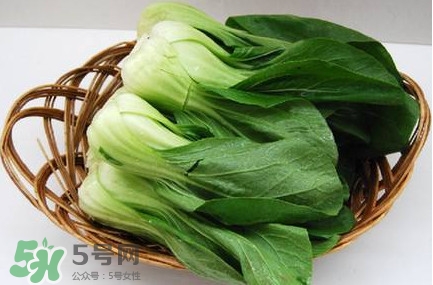 雞毛菜怎么種？雞毛菜的種植方法