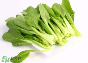 雞毛菜怎么種？雞毛菜的種植方法