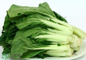 雞毛菜怎么做？雞毛菜的做法