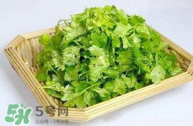 芹菜葉能吃嗎？芹菜葉可以吃嗎