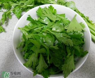 芹菜葉怎么吃？芹菜葉吃法