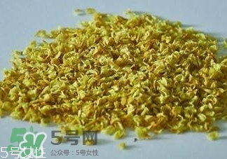 白枇杷花茶多少錢一斤？白枇杷花茶價格