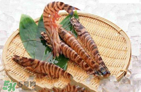 蝦爬子怎么扒皮？蝦爬子怎么剝殼？