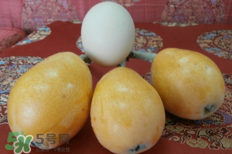 枇杷是什么季節(jié)的水果？枇杷什么季節(jié)吃