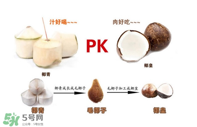 椰子怎么打開？椰子殼怎樣打開