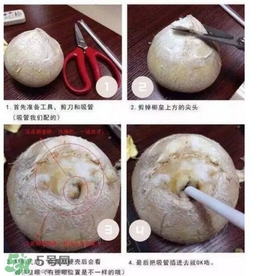 椰子怎么打開？椰子殼怎樣打開
