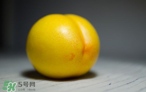 黃金油桃多少錢一斤？黃金油桃什么時(shí)候成熟？