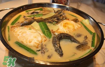 泥鰍是魚嗎？泥鰍是海鮮嗎