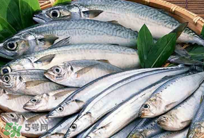 2017鲅魚多少錢一斤？鲅魚多少錢一斤2017？