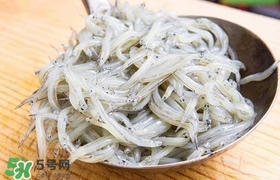銀魚(yú)是面條魚(yú)嗎？面條魚(yú)和銀魚(yú)的區(qū)別