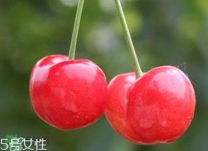 櫻桃籽有毒嗎？櫻桃籽能吃嗎？