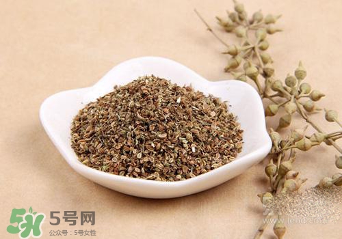 吃中藥可以吃魚？吃中藥吃魚會怎么樣？