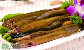 泥鰍是發(fā)物嗎？泥鰍是不是發(fā)物