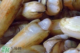 蟶子是海鮮嗎？蟶子是海鮮還是河鮮