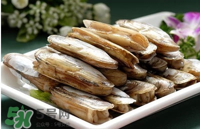 蟶子是海鮮嗎？蟶子是海鮮還是河鮮