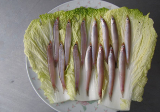 青島面條魚(yú)是什么魚(yú)？青島面條魚(yú)叫什么