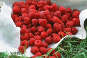 刺泡怎么保存？刺泡保存方法