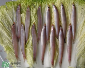 青島面條魚是什么魚？青島面條魚叫什么