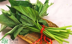 苕尖怎么炒？苕尖的做法