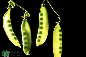 嫩豌豆能生吃嗎？為什么嫩豌豆可以生吃？