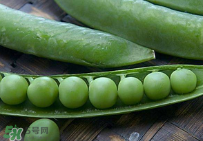 剝好的豌豆怎么保存？剝好的豌豆米怎么保存？