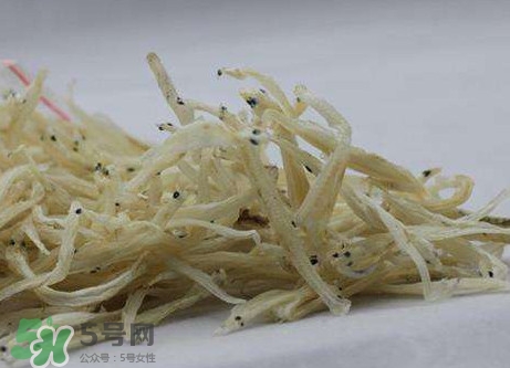 面條魚有什么營養(yǎng)？面條魚營養(yǎng)價值