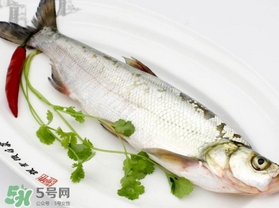 白條魚(yú)怎么做好吃？白條魚(yú)怎么吃好吃