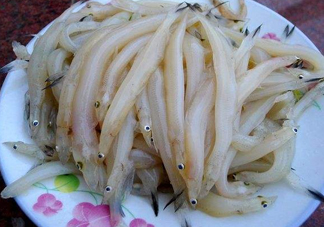 面條魚(yú)如何保存？面條魚(yú)怎么保存