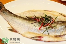 白條魚(yú)怎么做好吃？白條魚(yú)怎么吃好吃