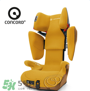 concord中文是什么？concord的中文名字怎么翻譯？