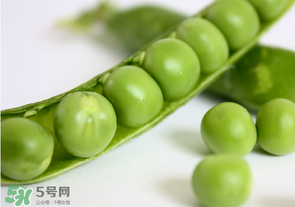 生豌豆有毒嗎？豌豆生吃有毒嗎？
