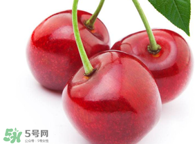 新鮮櫻桃如何保存？新鮮櫻桃能放多久？