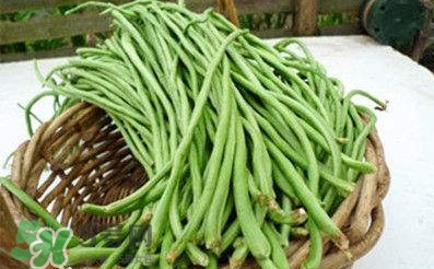 缸豆是豆角嗎？缸豆和豆角有什么區(qū)別