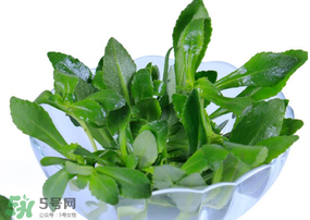救心菜有毒嗎？救心菜怎么吃沒(méi)毒？