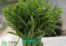 救心菜有毒嗎？救心菜怎么吃沒(méi)毒？