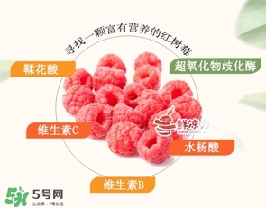 樹莓可以生吃嗎？樹莓怎么吃？