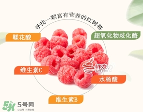 樹莓怎么保存？樹莓保存方法